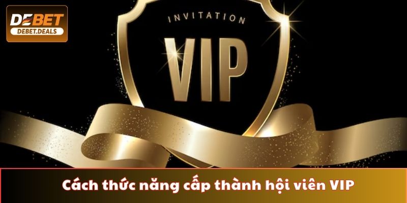 Cách thức năng cấp thành hội viên VIP