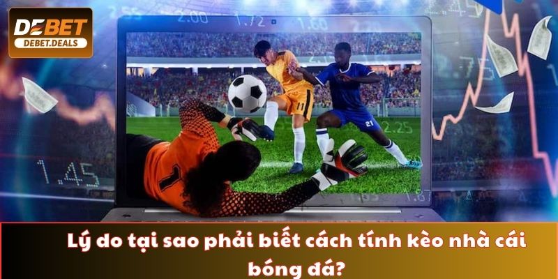 Giải mã lý do tại sao người chơi cần biết tính kèo nhà cái bóng đá